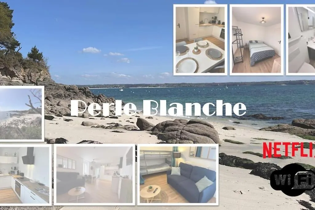 T2 De Charme Renove A Beg-Meil, A 250M De La Plage location